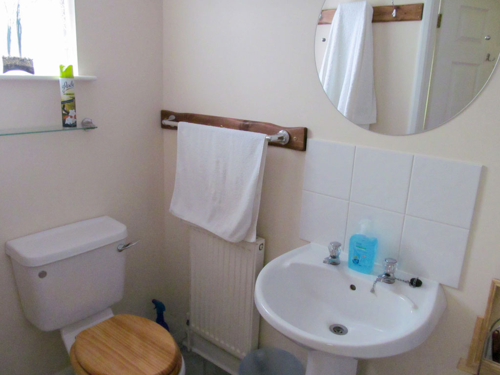 Family bathroom with toilet and sink