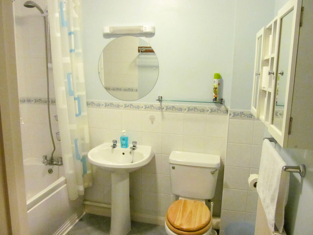 Second bathroom with shower